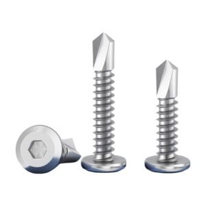 Electroplated Zinc Screws